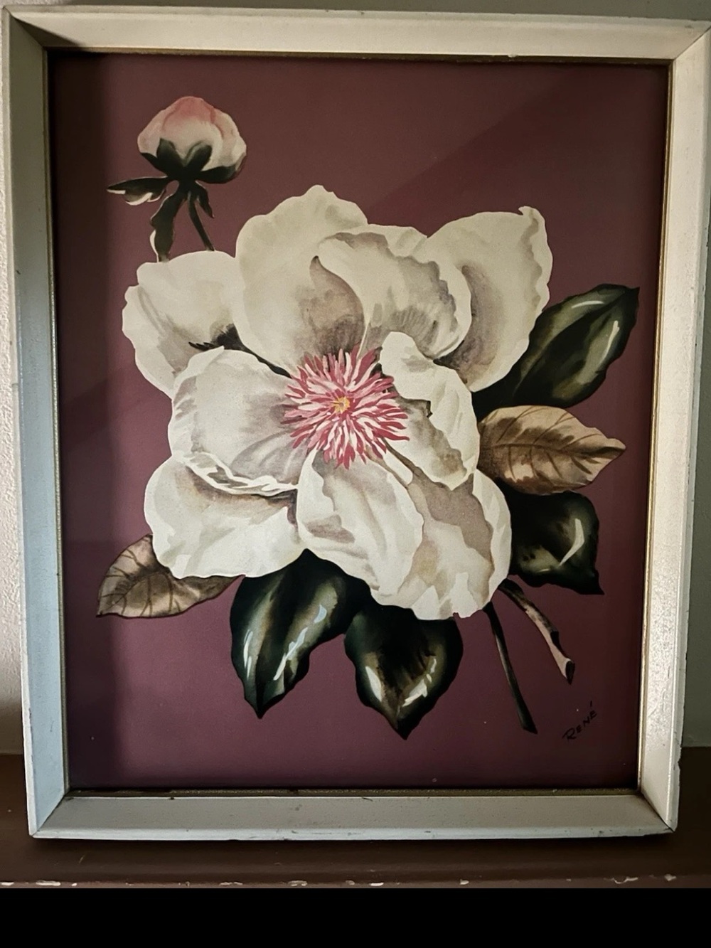 Vintage Framed MagnoliaPrint Signed Rene Floral Art Cottagecore 1970 - 14x17